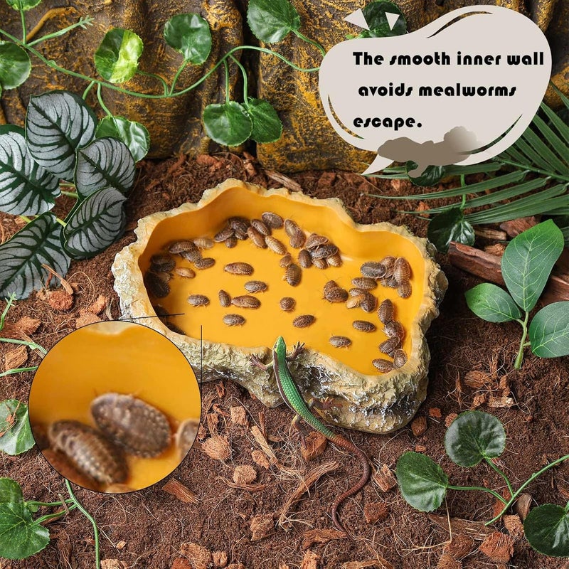 IBWell 5 Inch Reptile Food Dish Escape Proof Reptile Feeding Dish Resin Reptile Water Food Bowl for Bearded Dragon Chameleon Frog Snake Turtle Leopard Gecko - Image 4